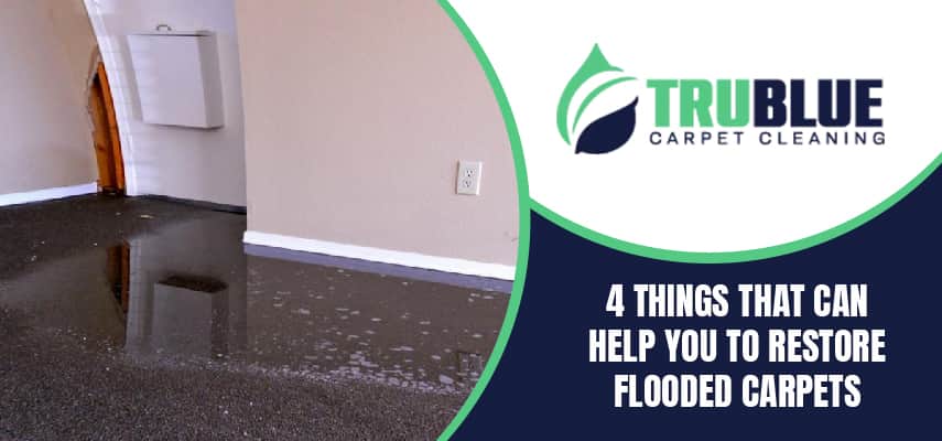 Restore Flooded Carpets